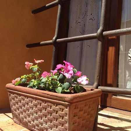 Albergaccio Daire