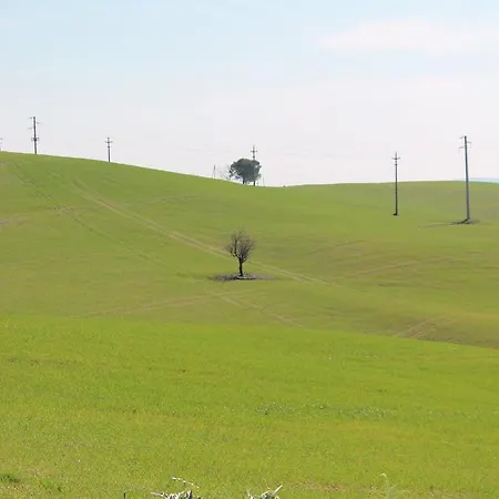 Apartamento Albergaccio *